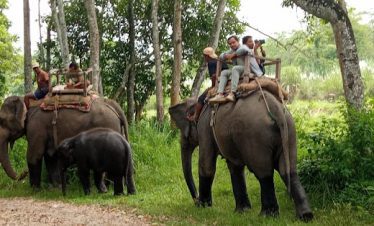 Chitwan Safari Tour 2 Days
