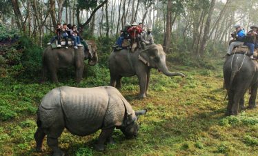 Best of Chitwan Safari Package