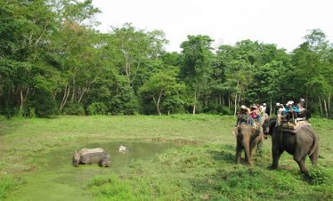 Experience Nepal Tour with Chitwan Wildlife Safari