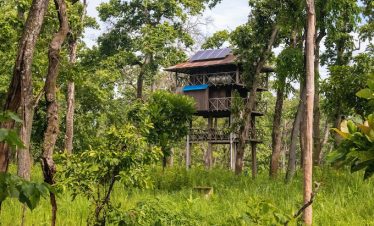 Tower Night Stay at Chitwan National Park: Experience Wildlife